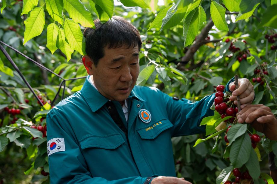 율리 체리농장 방문