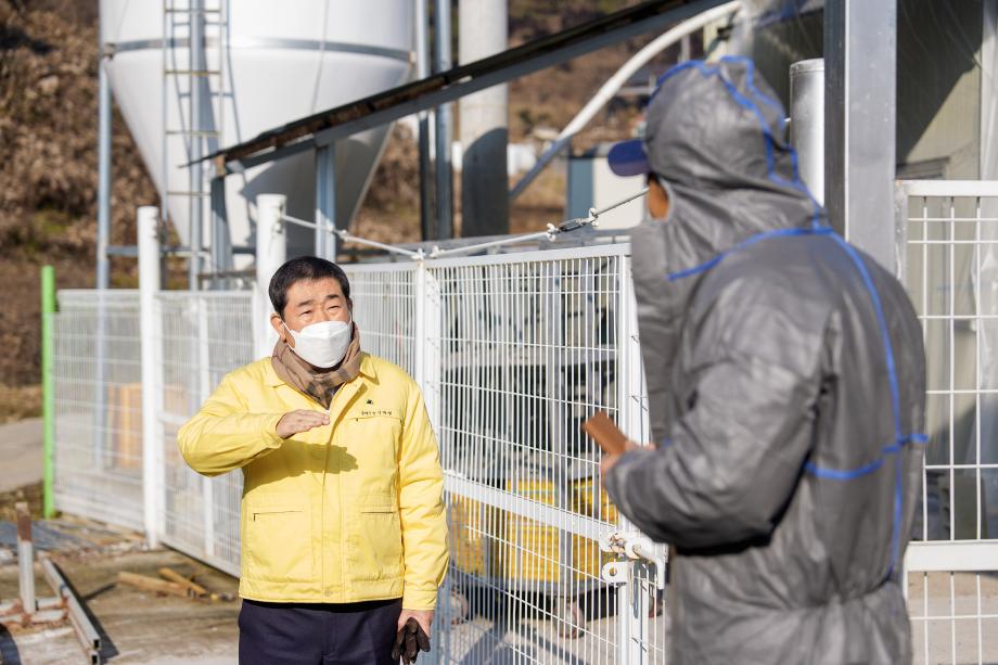 조류인플루엔자 관련 농가 방문