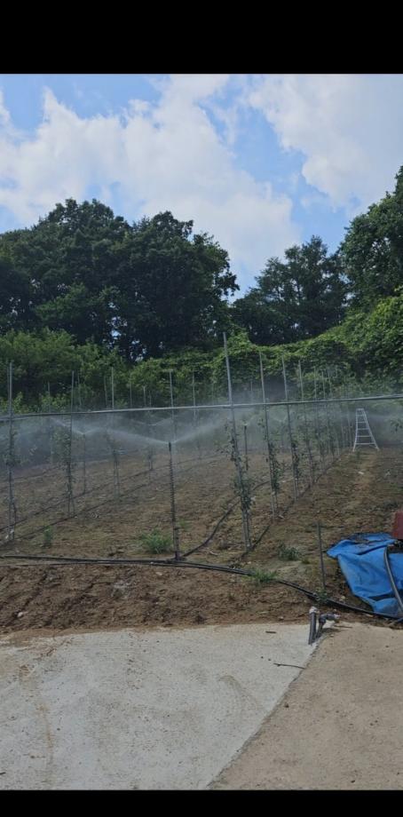 “봄철 기온 변덕, 농작물도 대비해야...”증평군 저온·서리 피해 예방 당부