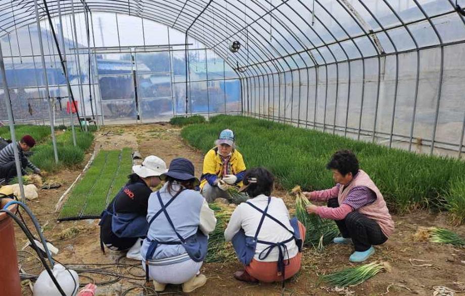 증평형 농촌일손 더하기 ‘효과 톡톡’