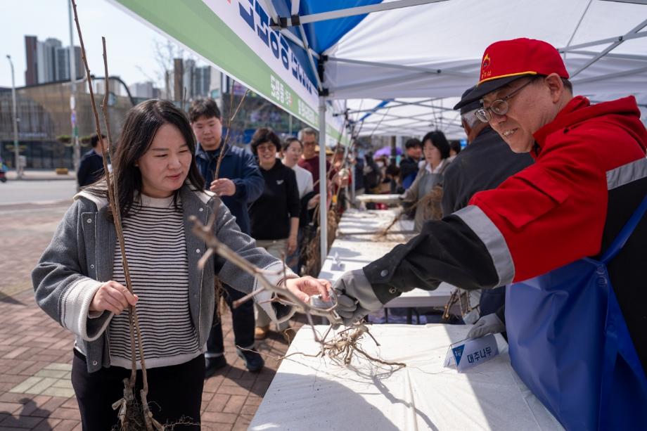 ‘내 나무로 가꾸는 푸른 증평’...증평군, 묘목 1800본 무료 배부