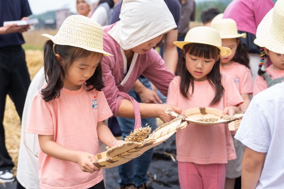 증평군, 전통 보리타작 체험행사...‘자연의 소중함과 학교 설립 염원 함께 나눠’