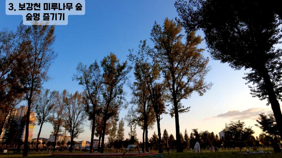 증평군노인복지관, ‘2025년 제2회 사랑나눔 영상자서전 공모전’ 수상작 발표