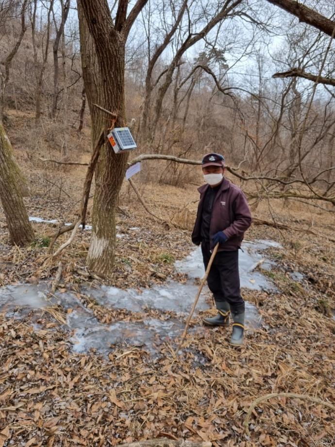 증평군, 야생 멧돼지 아프리카돼지열병(ASF) 차단 총력