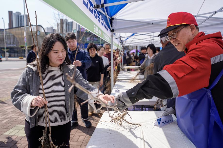 ‘내 나무로 가꾸는 푸른 증평’...증평군, 묘목 1800본 무료 배부