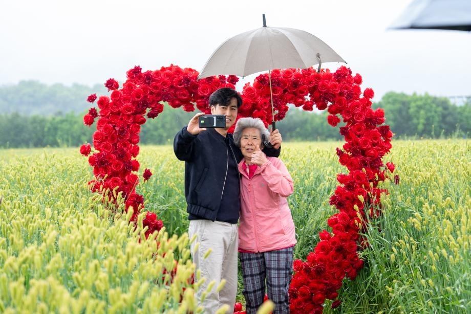 증평 도심 속 초록물결...‘청보리밭 축제’성황리 마무리