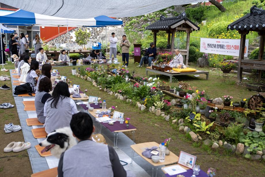 ‘신청 20초 컷! 증평 미륵사 댕플스테이... 반려가족에 통했다